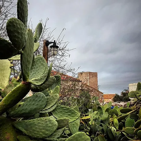 아파트 Katafigi Pírgos Dhiroú